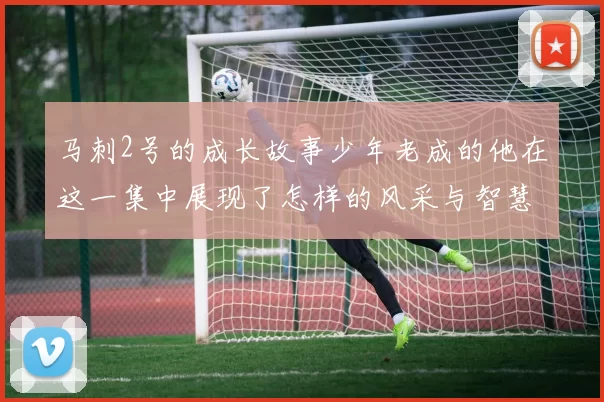 马刺2号的成长故事少年老成的他在这一集中展现了怎样的风采与智慧